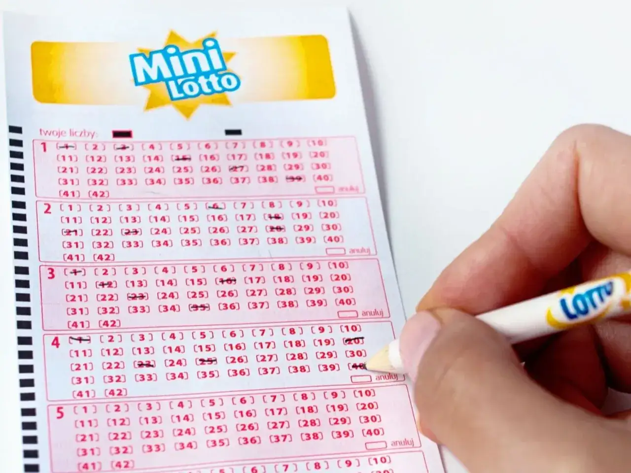 Ręka zaznacza liczby na kuponie Mini Lotto. Czy to sztuczka, jak przewidzieć numery lotto?